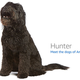 Image for article titled Amazon's Error Dogs, Ranked